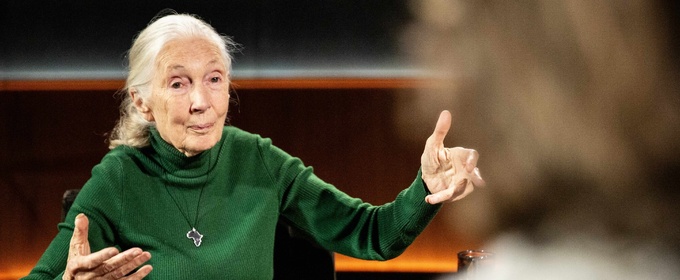 Netflix Debuts FAMOUS LAST WORDS Featuring Jane Goodall