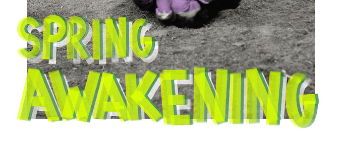 Review: SPRING AWAKENING at Volksoper