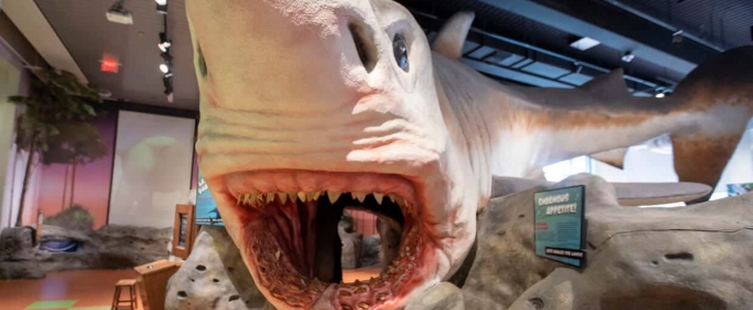 August Brings Blockbusters, Dinosaurs, and Gabby’s Dollhouse to The Museum Of Discovery and Science