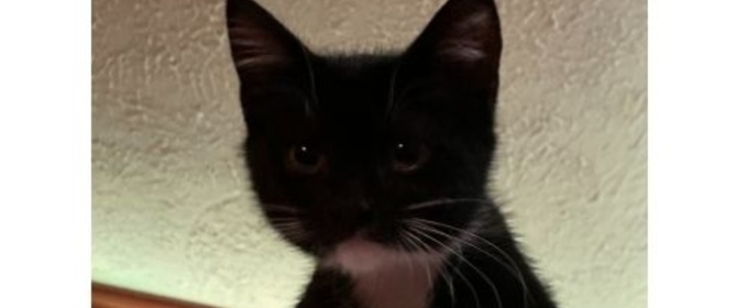 Student Blog: Take a Break