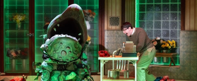 Review: DCPA Delivers a Killer LITTLE SHOP OF HORRORS