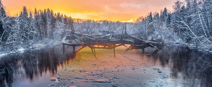 Gloriæ Dei Cantores and Creare Symphonia Present GRANT US PEACE