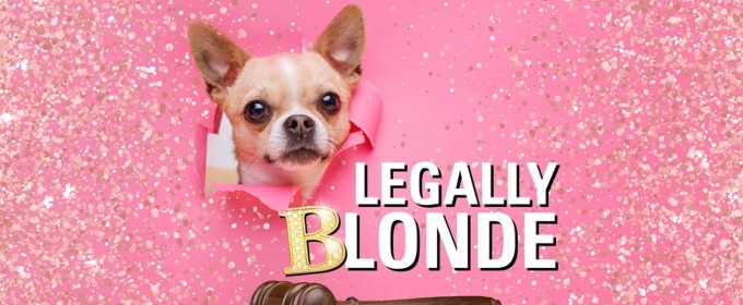 LEGALLY BLONDE Comes to the Citadel Theatre This Summer