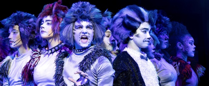 Orbit Arts Academy to Present CATS: Young Actors Edition