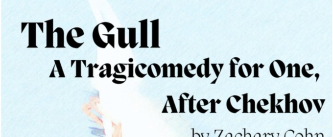 THE GULL Comes to Des Moines Playhouse