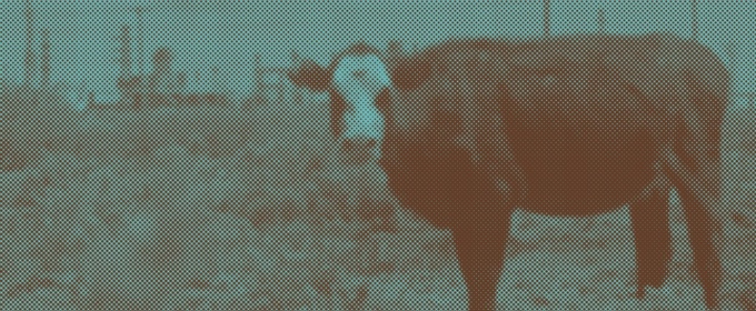 GEONNITUS is Now Playing at Teatro Colon