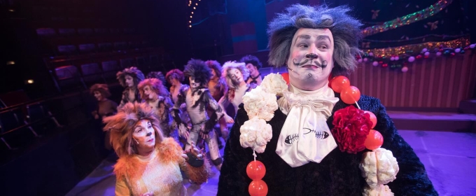 Review: CATS at Seacoast Repertory Theatre