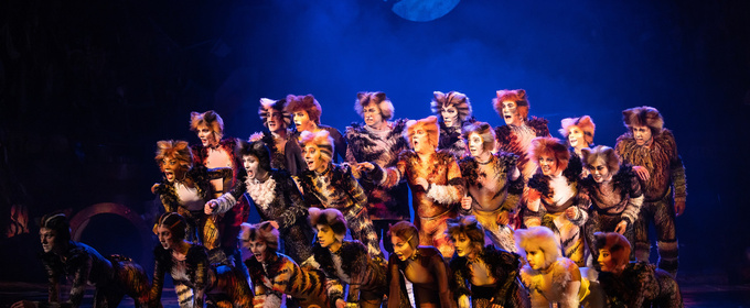 Cast Set For CATS The Musical in South Africa