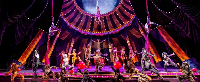 Photos: Circus-Themes CATS Soars At Chicago's Paramount Theatre