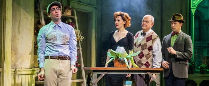 Photos: First Look at Matt Doyle as 'Seymour' in LITTLE SHOP OF HORRORS Photos