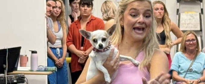 Review: LEGALLY BLONDE: THE MUSICAL at Broadway Palm
