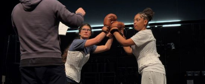 LSC-CyFair Drama Will Stage THE SWEET SCIENCE OF BRUISING This April