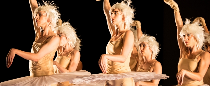 Review: SWAN LAKES AND MINUS 16 at Harbourfront Centre