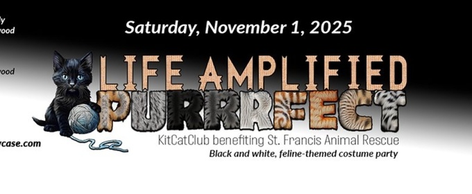 Previews: LIFE AMPLIFIED PURRRFECT at The Studio At Carrollwood Cultural Center