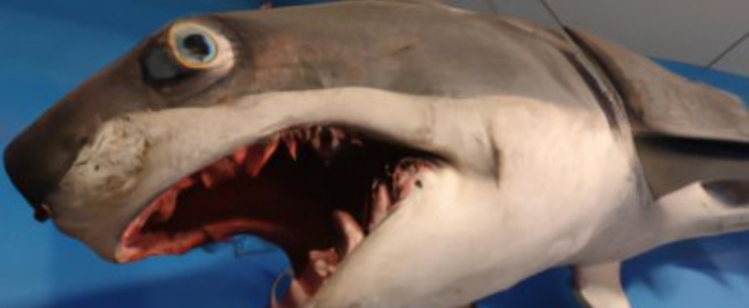 THE SHARK IS BROKEN Makes Utah Premiere at Wasatch Theatre Company in August