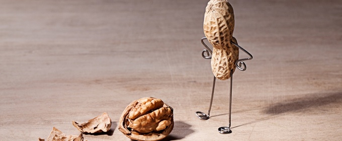 CHOCK FULL OF NUTS Comes to Denver in February