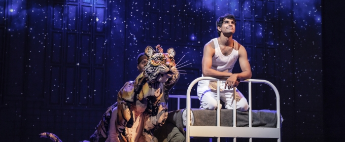 Review: Long Live the LIFE OF PI at DCPA