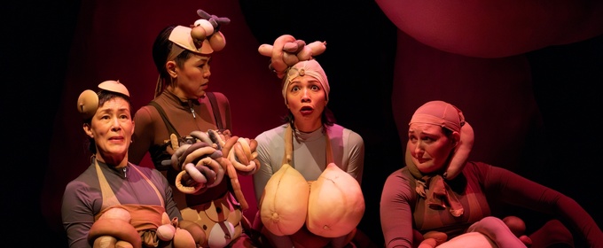 Photos: MEAT SUIT, OR THE SHITSHOW OF MOTHERHOOD At Signature Theatre