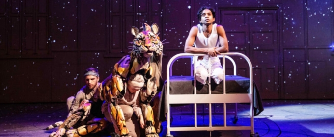 Review: LIFE OF PI Is Existentialist Magic at Benedum Center