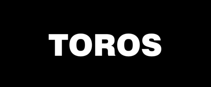 Review: TOROS at Rec Room Arts