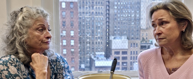 MARSHA BLOVOTNICK AND THE MARVELOUS MAGICAL CHICKEN SOUP is Coming to Theatre Ariel