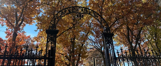 Student Blog: Falling Into Change