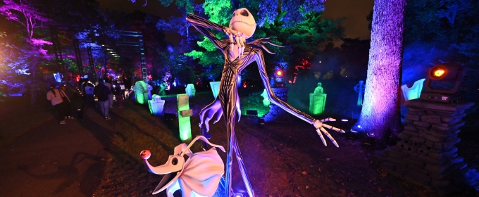 Photos: Inside THE NIGHTMARE BEFORE CHRISTMAS Light Trail at the New York Botanical Garden