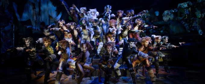 CATS Returns To Its Original Australian Home After 40 Years