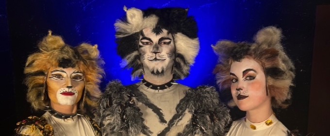 CATS Musical Opens June 14 At The Belmont Theatre