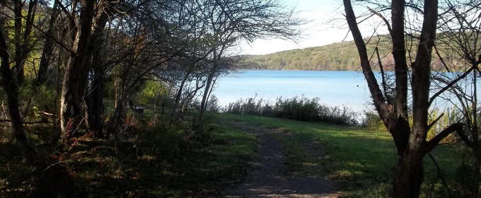 Student Blog: How Life Has Changed