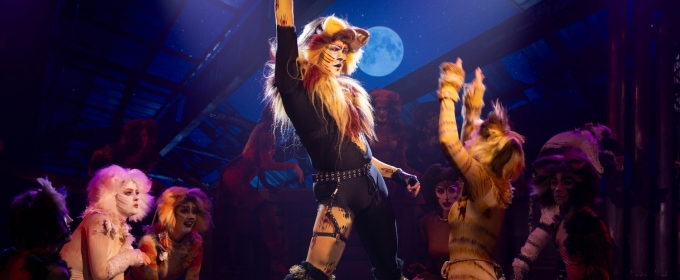 Suncoast Broadway Dinner Theatre Presents Andrew Lloyd Webber's CATS