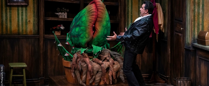Review: LITTLE SHOP OF HORRORS at PCPA: Solvang Festival Theater