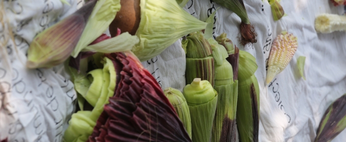 El Macg Festejará El Día Internacional De Los Museos Con Una Convivencia Alimentaria