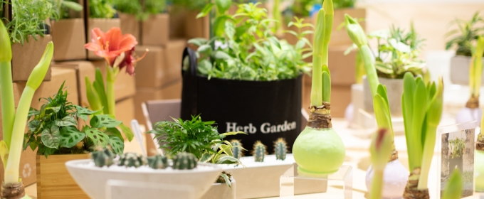 GARDENUITY for the Joy of Gardening Indoors and Outdoors