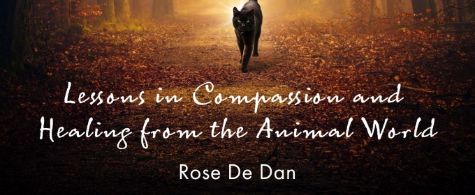 Reiki Master Teacher Rose De Dan to Release New Book OUT OF THE DARKNESS AND OTHER ANIMAL TAILS