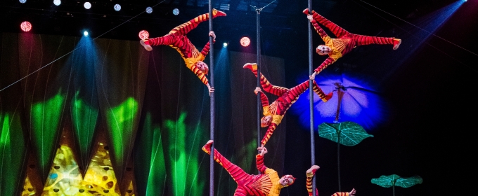Cirque du Soleil’s OVO Brings a Bold New Buzz to New Orleans