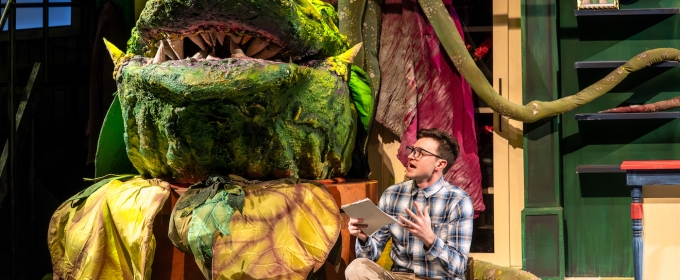 Review: LITTLE SHOP OF HORRORS at North Shore Center For The Performing Arts, Skokie, IL