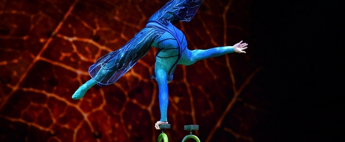 Cirque Du Soleil's OVO to Offer 25% Off Select Tickets For Hershey Engagement During Fall Sale