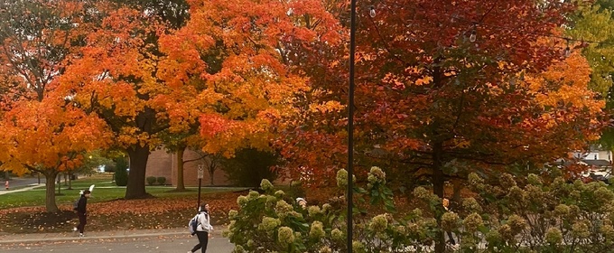 Student Blog: 5 Things I Am Grateful for in My BFA MT Program