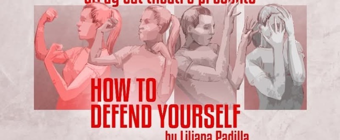 Review: HOW TO DEFEND YOURSELF at Stray Cat Theatre