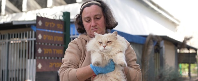 The Guardian Angel of the Cats Who Lost Everything on October 7