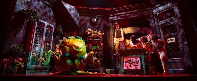 Photos: 5-Star Theatricals' LITTLE SHOP OF HORRORS at Bank of America Performing Arts Center