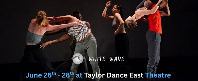 WHITE WAVE Dance Opens Application For The 2026 DUMBO Dance Festival