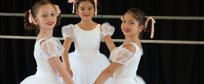 North Shore Civic Ballet Opens Spring Auction in June