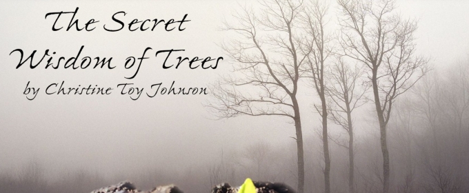 THE SECRET WISDOM OF TREES Available For Licensing From Thirty Saints Productions