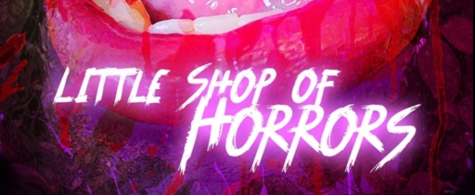 Review: LITTLE SHOP OF HORRORS at Stray Cat Theatre