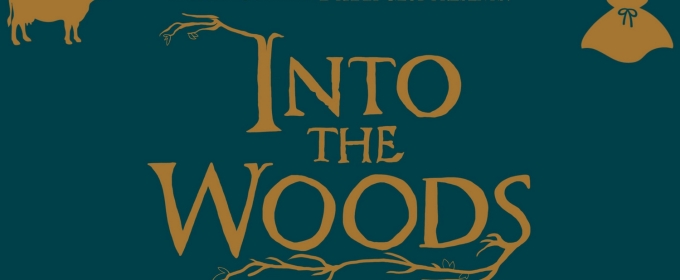 INTO THE WOODS Comes to Dublin Coffman High School Drama Club