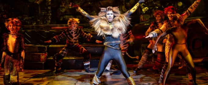CATS Celebrates 40th Anniversary in Australia