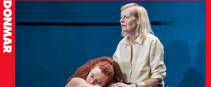 Video: Watch the Trailer for EVENING ALL AFTERNOON at Donmar Warehouse