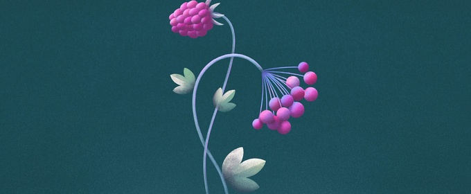 THE SECRET Comes to the National Theatre in Prague